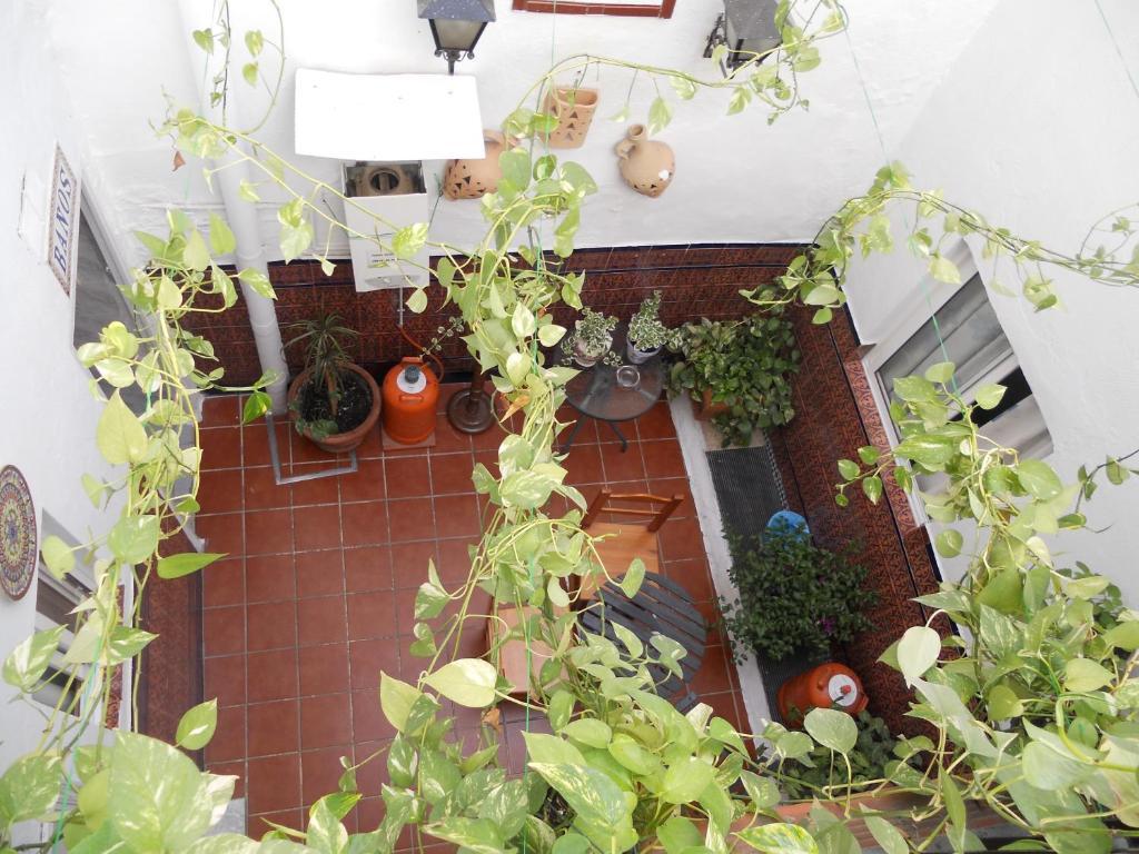 Pension Santa Maria La Blanca Sevilla Exterior foto